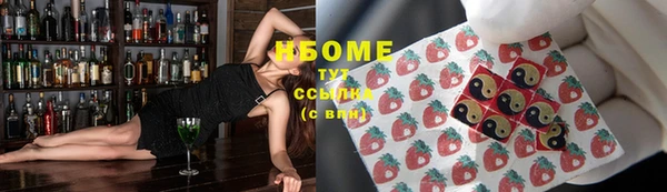 индика Вязники