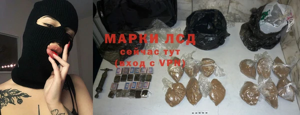 индика Вязники