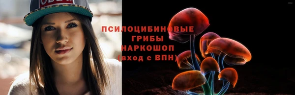 индика Вязники