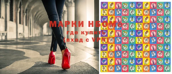 индика Вязники