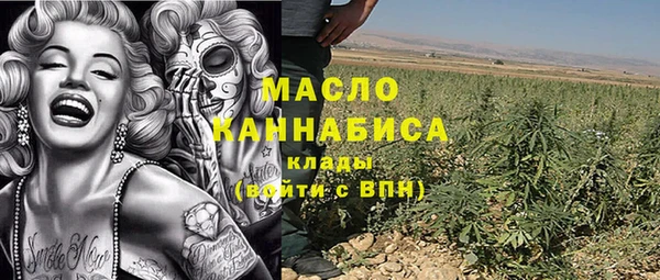 индика Вязники